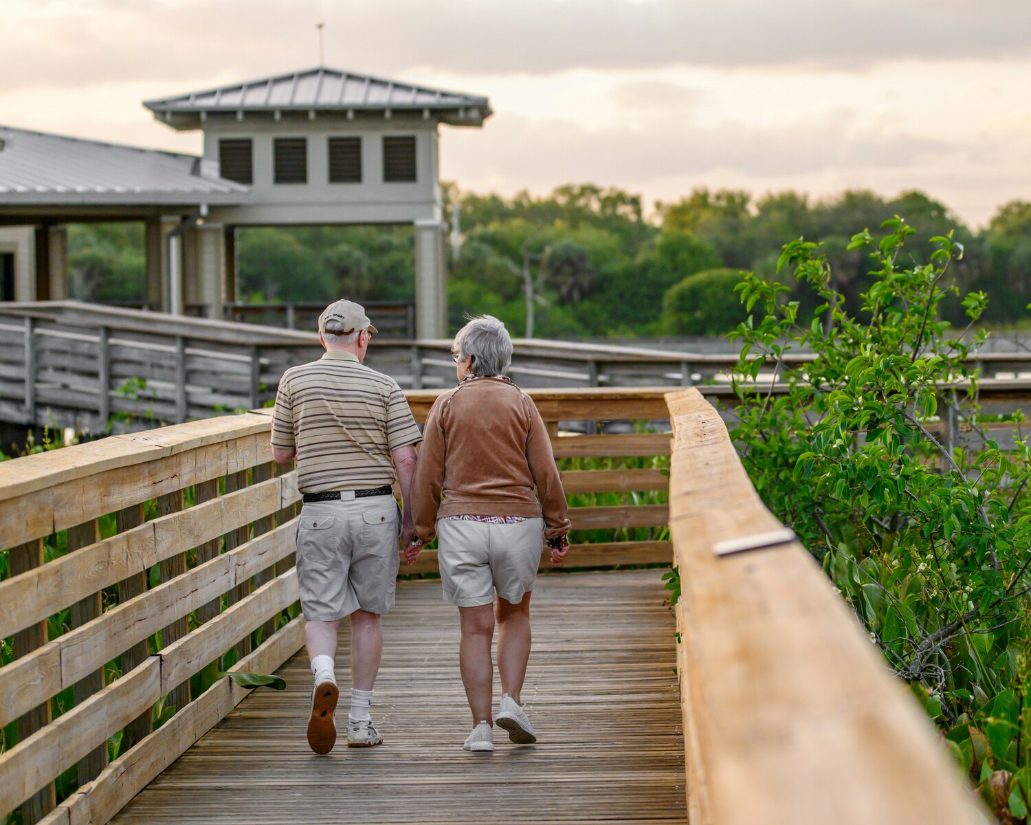 seniors, elderly