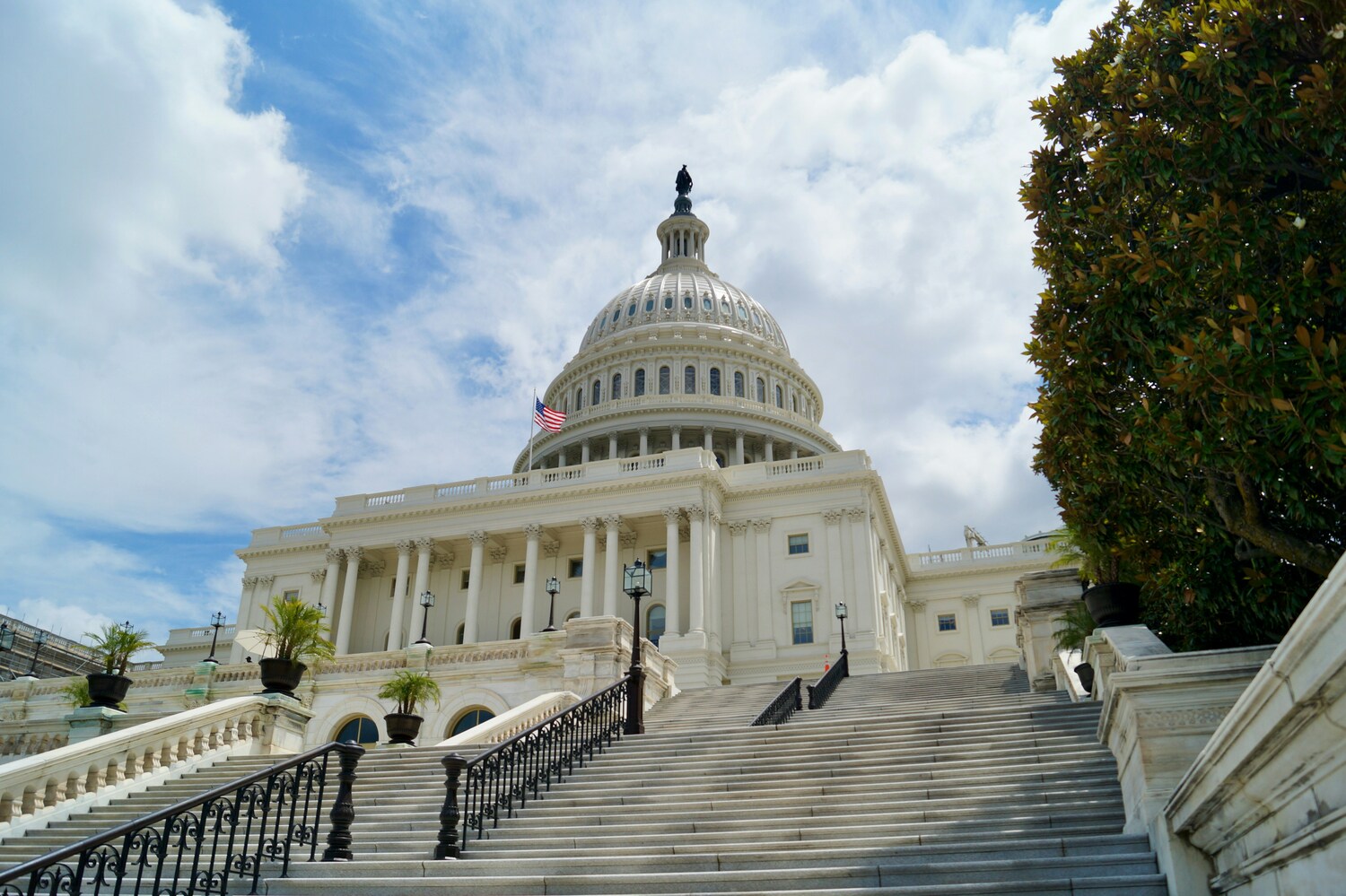 government, government benefits