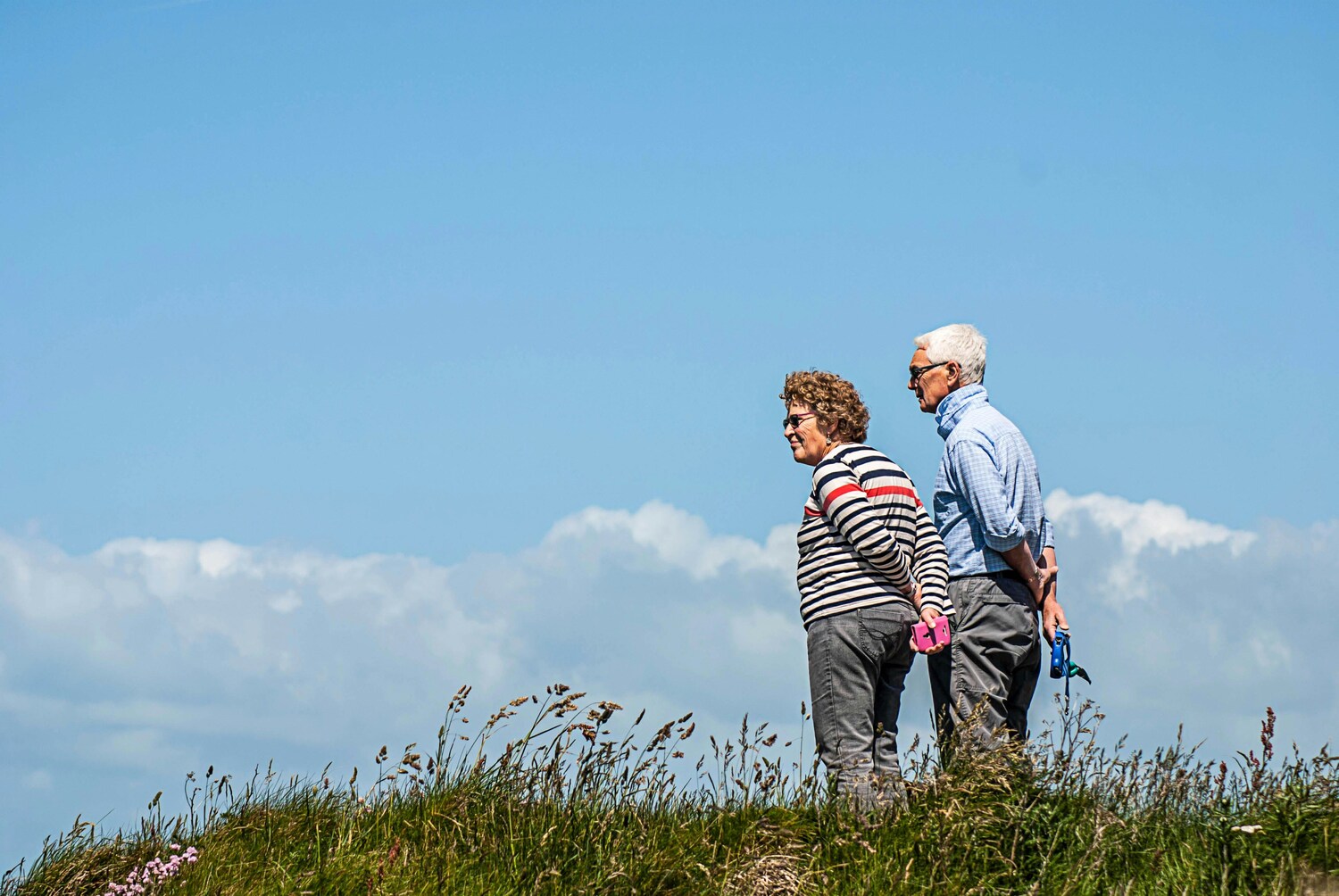 retirement, retirement fund