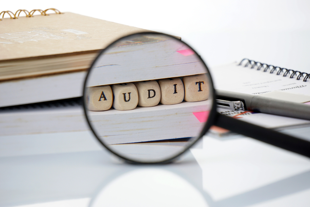 IRS audits