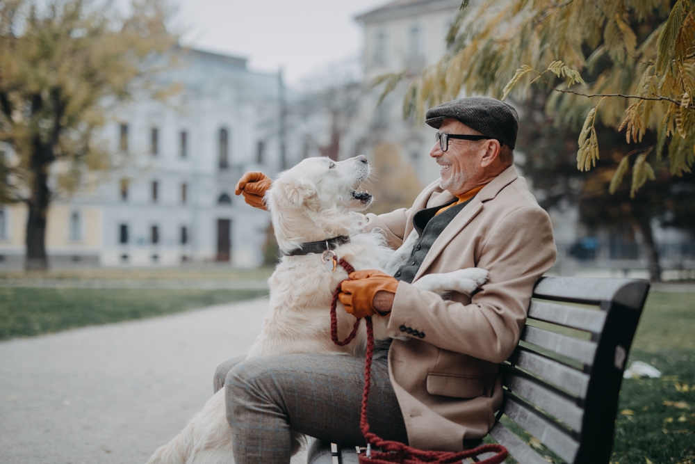 winter side hustles for seniors pet sitter