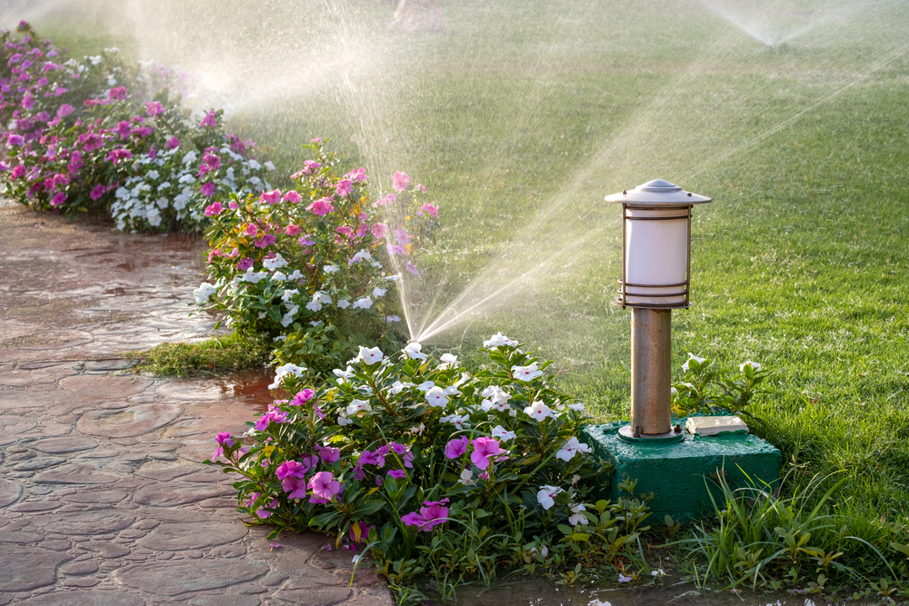 The Florida “Water Sensor” Alert: Why Homeowners are Being Fined 0 for “Illegal” Sprinkler Use