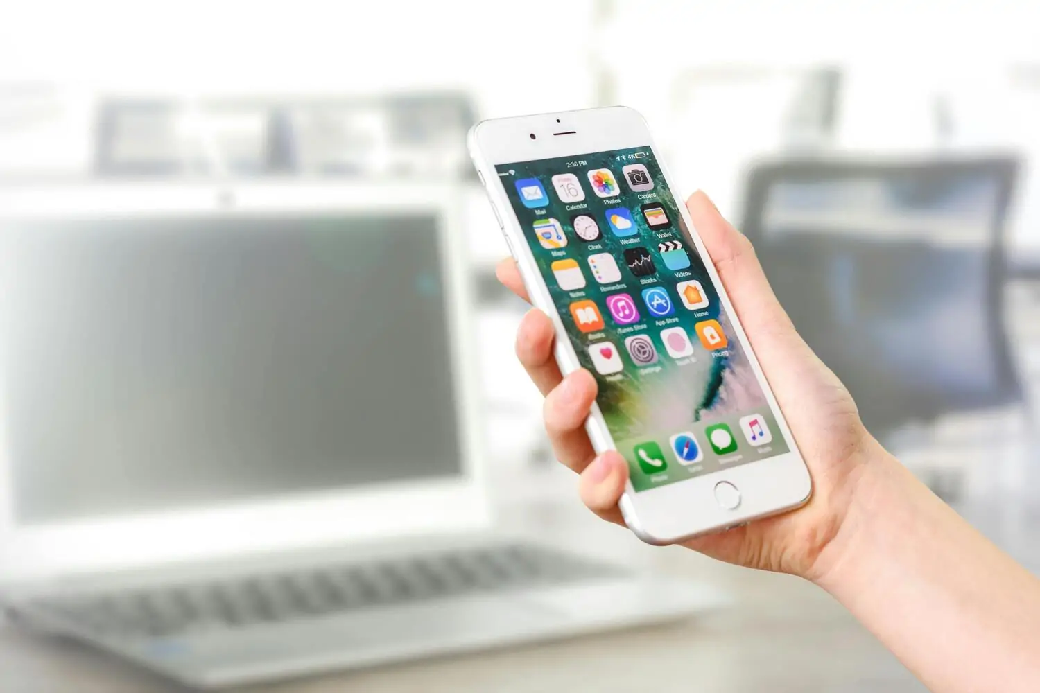 phone apps, financial data
